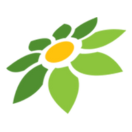 APK MOD DLS